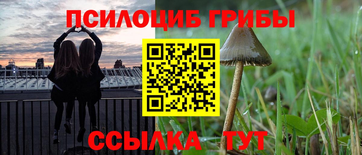Сорочинск  Галлюциногенные грибы Magic Shrooms  Вход с VPN 